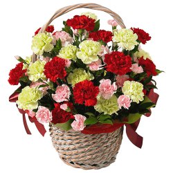 Gift a Basket of bright mixed Carnations