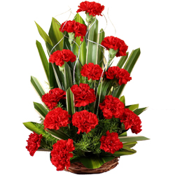 Pretty 18 Red Carnations 