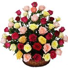 Delicate Selection of Mixed Roses in a Basket