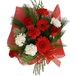 Tender Bouquet of Red & White Carnations with Red Gerberas & Red Roses