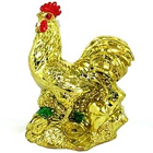 Exclusive Rooster Feng Shui to Kolkata
