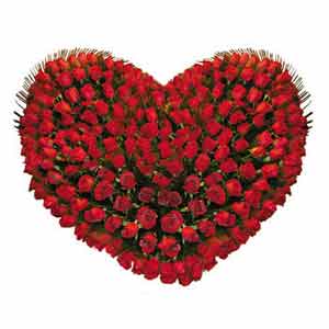 Classy arrangement of radiant Roses in Heart Shape to Uthagamandalam