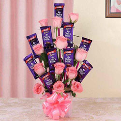 Wonderful Arrangement of Roses with Cadbury Dairy Milk Chocolates to Muvattupuzha
