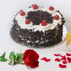 Enticing Black Forest Cake with Red Rose to Cooch Behar