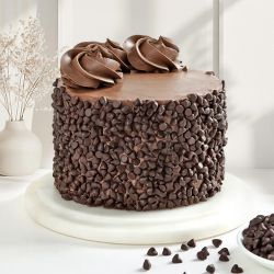 Rich Chocolate Cake Bliss