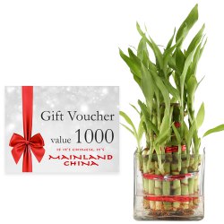 Exclusive Combo of Mainland China Gift E Voucher worth Rs.1000 and Lucky Bamboo Plant in Bowl to Alappuzha