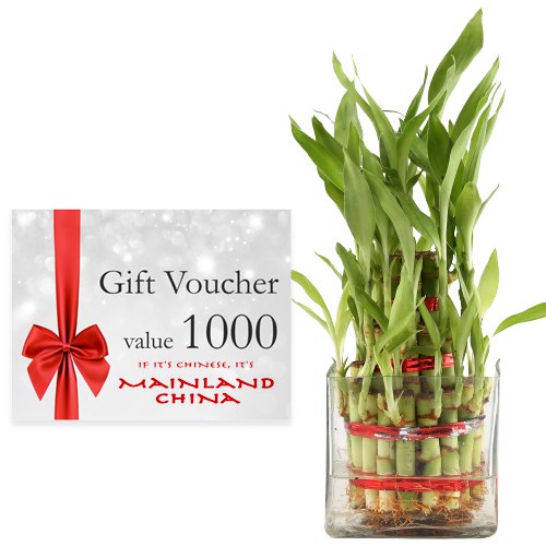 Exclusive Combo of Mainland China Gift E Voucher w... to Marmagao