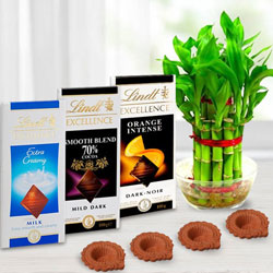 Environment Friendly Diwali Gift of Plant, Lindt Chocolates n Diya to Kanjikode