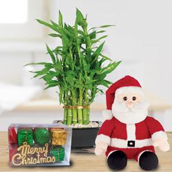 Special Gift of 2 Tier Bamboo with Santa Teddy to Hariyana