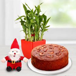 Wonderful Lucky Bamboo Plant with Plum Cake n Santa Claus Cap to Andaman and Nicobar Islands