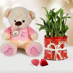 Exquisite Propose Day Combo of Teddy with Chocolate n Lucky Bamboo to Alappuzha