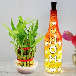 2 Tier Lucky Bamboo Plant with Handcrafted LED Lighting Bottle Lamp for Mom to India