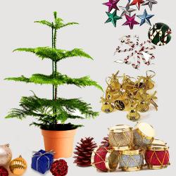 Magnificent Gift of Christmas Tree with Decoration Items to Kanjikode