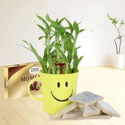 Magnificent Bamboo Plant in Smiley Container with Sweets and Chocolates   	 to India
