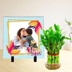 Fabulous Lucky Bamboo Plant with Personalized Photo Frame to Cooch Behar