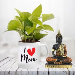 Exquisite Money Plant in Personalized Mug with Gautam Buddha Idol to Hariyana