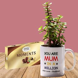 Pretty Jade Plant in Personalized Mug with Ferrero Moment Chocolates Box to Marmagao
