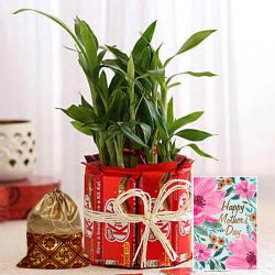 Wonderful Bamboo Plant N Kitkat Bunch with Dry Fruit Potli N Wishes Card for Mom to Sivaganga