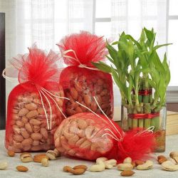 Divine Lucky Bamboo Plant in a Glass Vase with Assorted Dry Fruits to Kanjikode