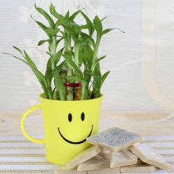 Classic Kaju Katli with Lucky Bamboo Plant in a Smiley Container. to Kanjikode