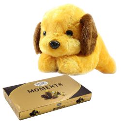 Soft N Cute Doggy with Ferrero Rocher Chocolate Combo to Rourkela