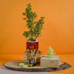 Radiant Diwali Gifts Delight to Kanjikode