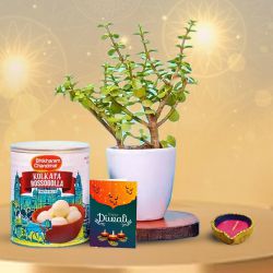 Green Diwali  Plant, Sweets And Wishes to India