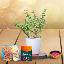 Festive Greens, Nuts And Diya to Hariyana