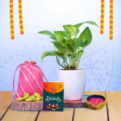Prosperity Plant With Greetings to Hariyana