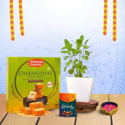 Gourmet Diwali Delight to Cooch Behar