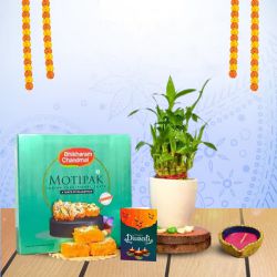 Lucky Bamboo And Sweet Treats to Sivaganga