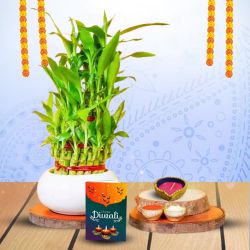Diwali Zen With Lucky Bamboo to Perumbavoor
