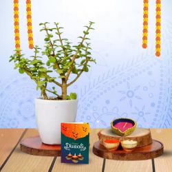 Diwali Radiance  Jade And Light to Taran Taaran