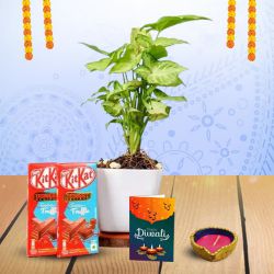 Green And Sweet Diwali Surprise to Cooch Behar