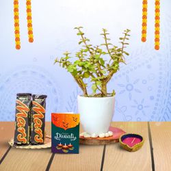 Diwali Delight  Green, Chocolate, Light to Kanjikode