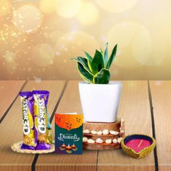 Stars And Snake Plant In Hamper to Palani