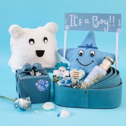 Delightful Newborn Essentials for Boys