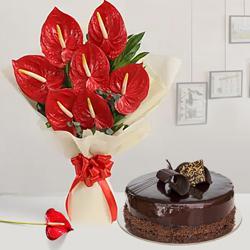 Lovely Combo of Anthurium Bouquet with Chocolate Cake to Muvattupuzha