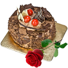Tasty Chocolate Cake N Red Rose to Rajamundri