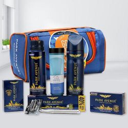 Remarkable Park Avenue Grooming Kit to Palani