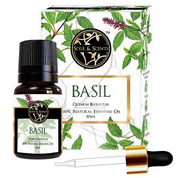 Aromatic Basil Essential Oil to Kanyakumari