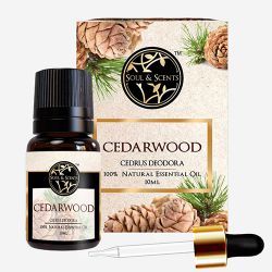 Luxurious Cedar Wood Essential Oil to Nagercoil
