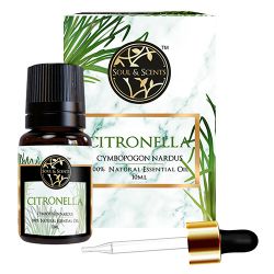 Aromatic Citronella Essential Oil to India