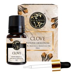 Soothing Clove Essential Oil to Alappuzha