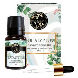 Aromatic Eucalyptus Essential Oil to Palani