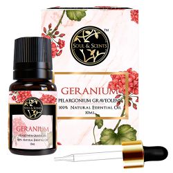 Fragrant Geranium Essential Oil to Hariyana