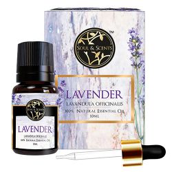 Soothe Your Soul  Lavender Essential Oil to Perumbavoor