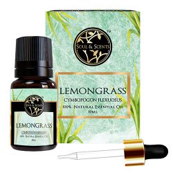 Refreshing Lemongrass Essential Oil to Kanyakumari