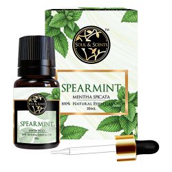 Soothing Spearmint Essential Oil to Kanjikode