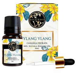 Rejuvenating Ylang Ylang Essential Oil to Sivaganga